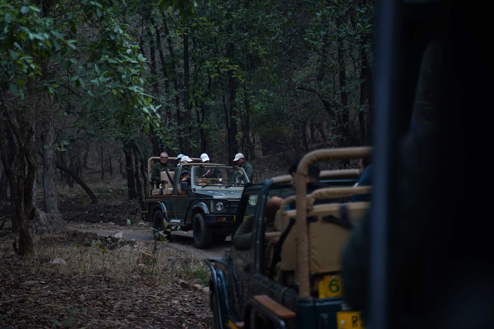 Open safari vehicles travelling through the forest